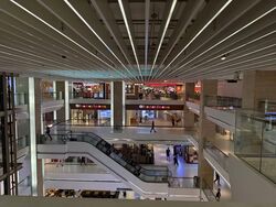 100 Am (D2), Retail #599081031